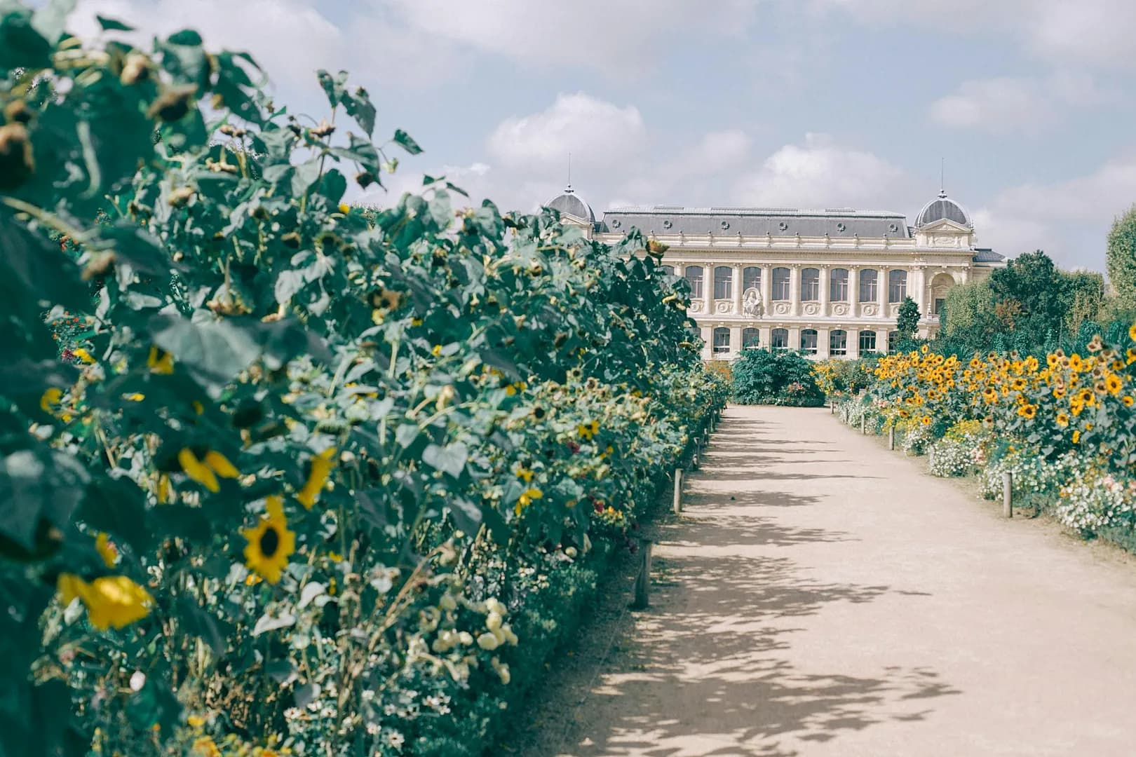 Green Spaces in Florence, Rome, and Paris