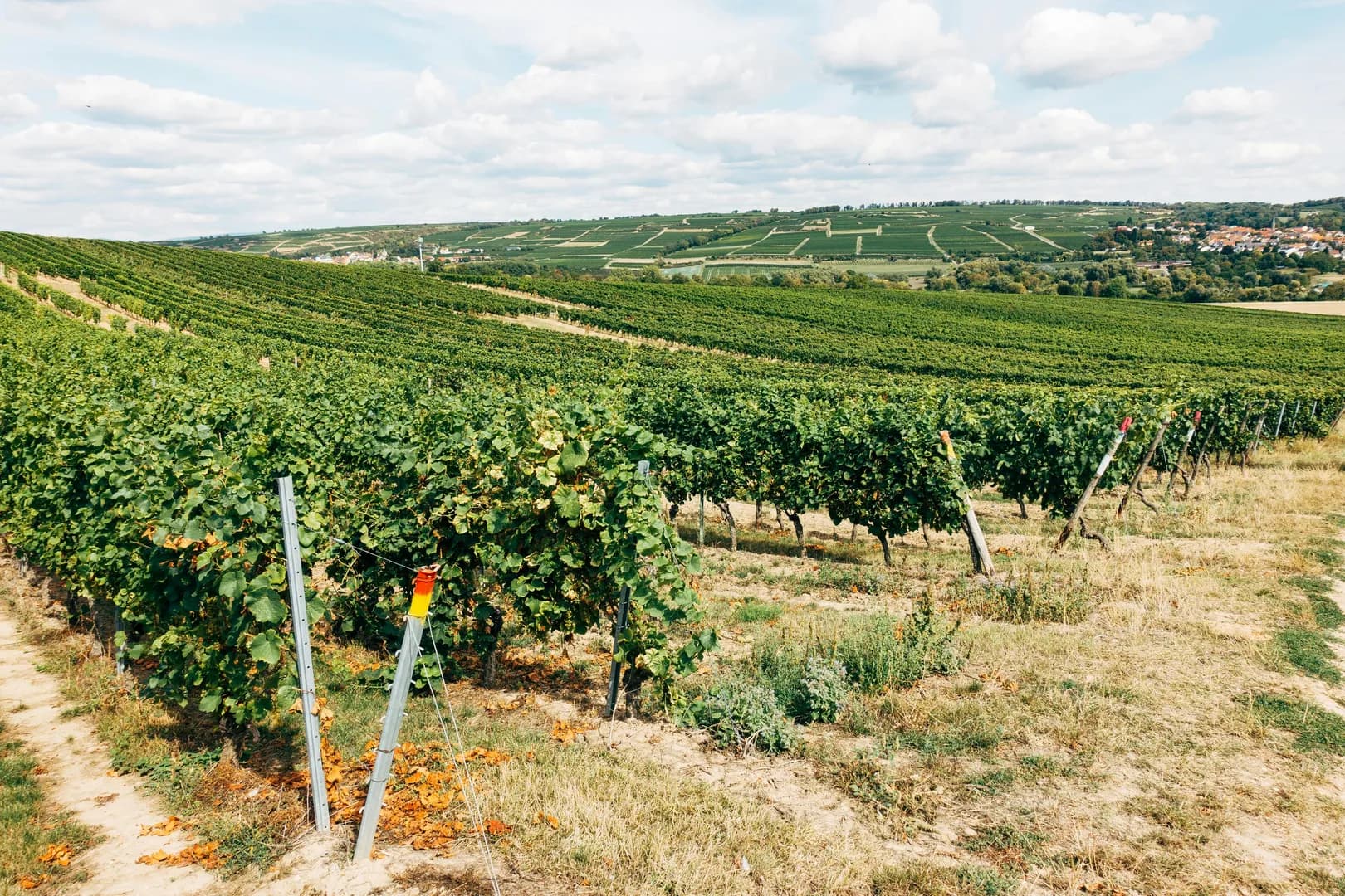 Southern Italy's Wine Regions: Beyond Tuscany, Into Volcanic Soil and Bold Reds