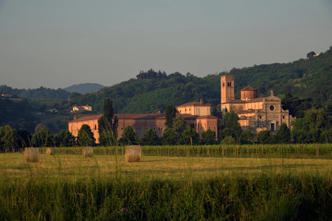 Valpolicella Wine Country: A Complete Guide to Amarone's Homeland